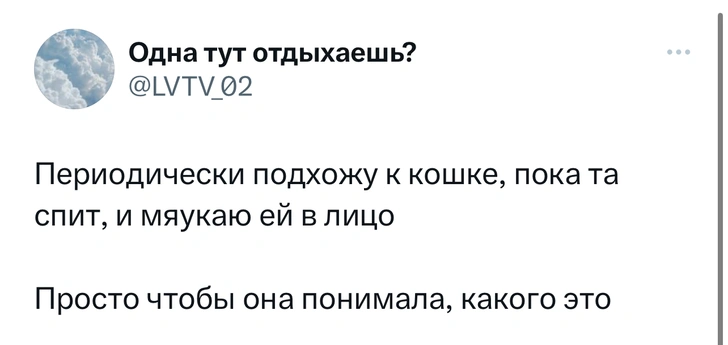 Шутки среды и «щелбаны во время секса»