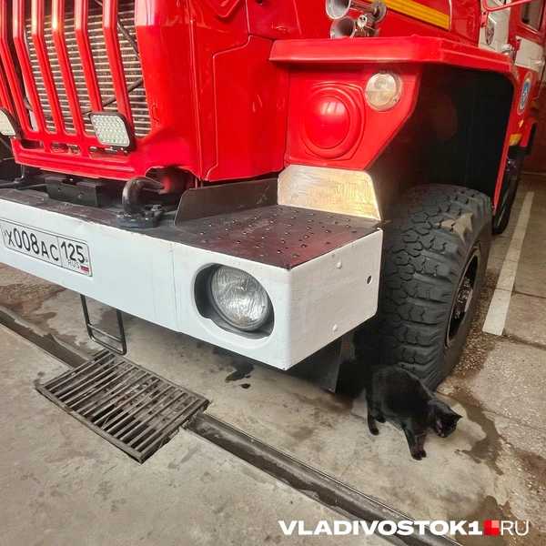 Источник: Елена Буйвол / VLADIVOSTOK1.RU