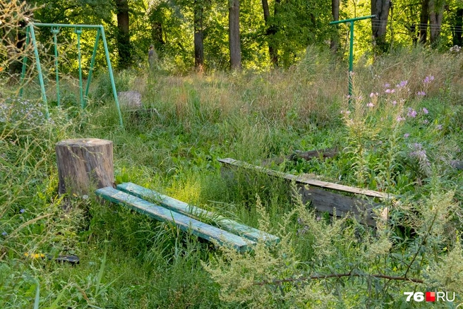 Место для летних посиделок заросло травой | Источник: Кирилл Поверинов / 76.RU