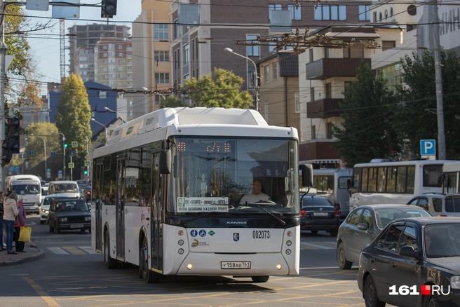 Власти рассчитывают, что благодаря новому тарифу транспорт станет ходить чаще | Источник: Евгений Вдовин / 161.RU