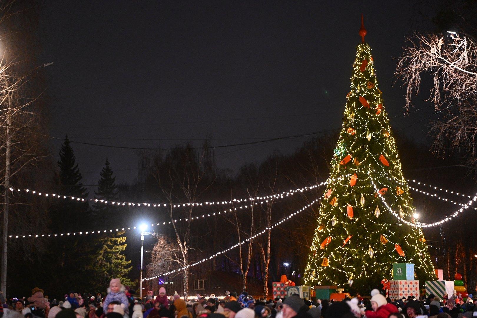 В Екатеринбурге зажгли первую праздничную елку