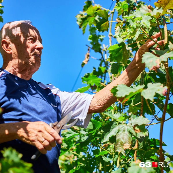 Источник: Роман Данилкин / 63.RU