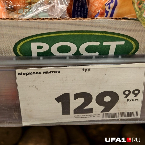 Источник: Булат Салихов / UFA1.RU