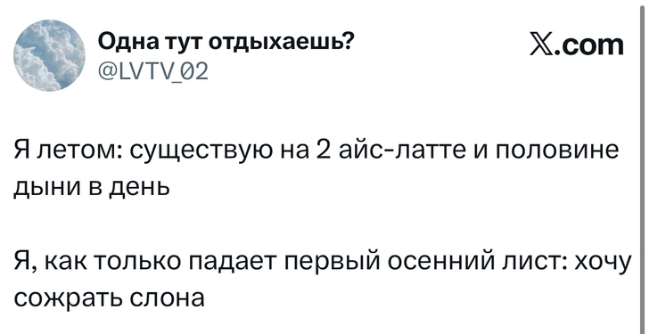 Источник: X (Twitter)