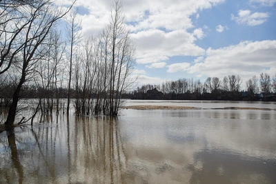 В Новосибирской области готовят дороги к паводку
