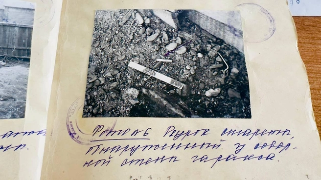 Источник: Виктория Михайлюк