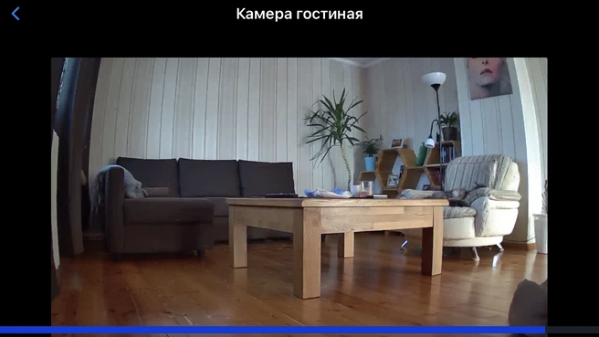 Работа в приложении Eltex Home интуитивно понятна | Источник: Eltex