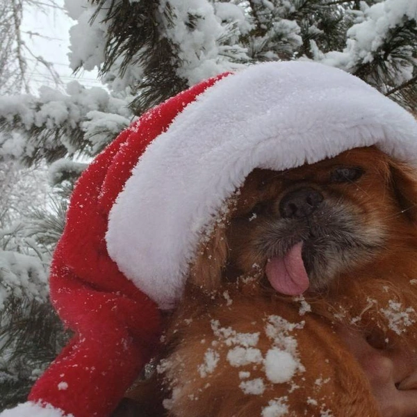 Источник: Илья Мартышенко