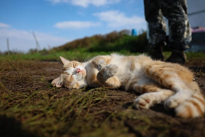 В мае в Омской области ожидается дефицит осадков