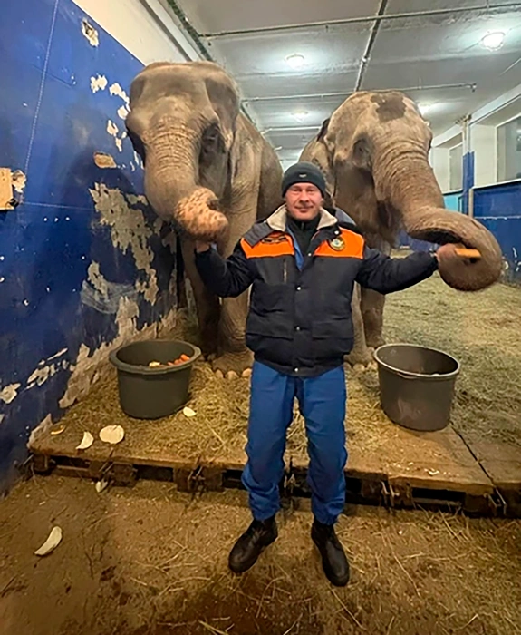 Слониха устроила себе прогулку по морозной Самаре