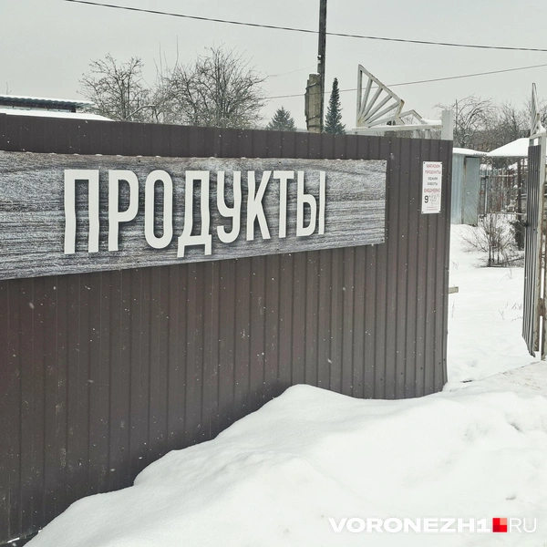 Источник: Алёна Воропаева / Voronezh1.ru