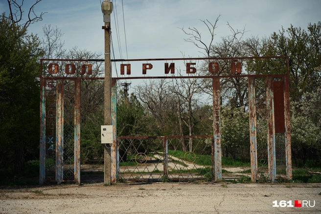 Оздоровительный лагерь «Прибой» в Молчановке ликвидировали в 2013 году. Его руины — единственная достопримечательность хутора. За воротами — брошенные дома, заросшие сады и запах овечьего навоза | Источник: Артем Марьенко / 161.RU