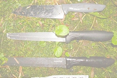 Суд в Петербурге вынес приговор убийцам девушки