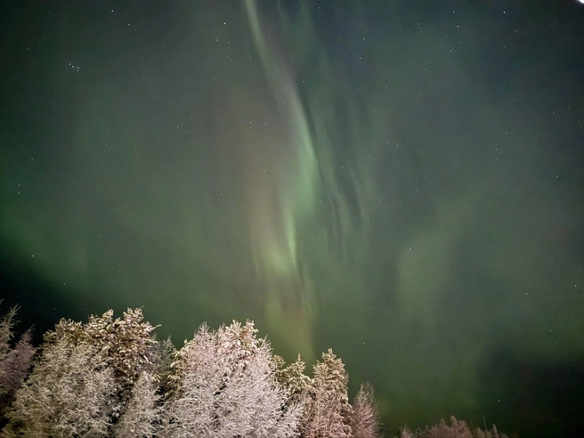 Поселок Сосновка, Белоярский район | Источник: «Aurora Hunters» / T.me