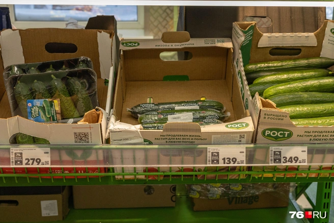 За один огурец в упаковке&nbsp;— 139 рублей. | Источник: Артем Бауман / 76.RU