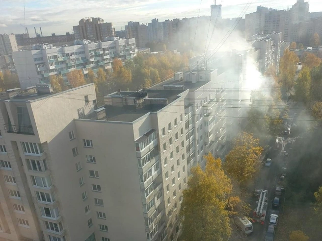 Двое малышей пострадали при пожаре в квартире на Васильевском острове | Источник: Живем на Васильевском | Васильевский остров / ВК