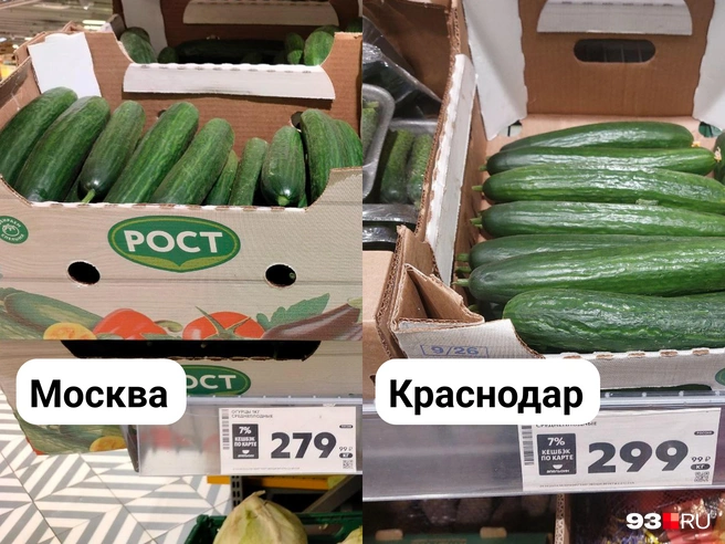 Огурцы среднеплодные в Краснодаре дороже на 7%  | Источник: Екатерина Железнова / 93.RU