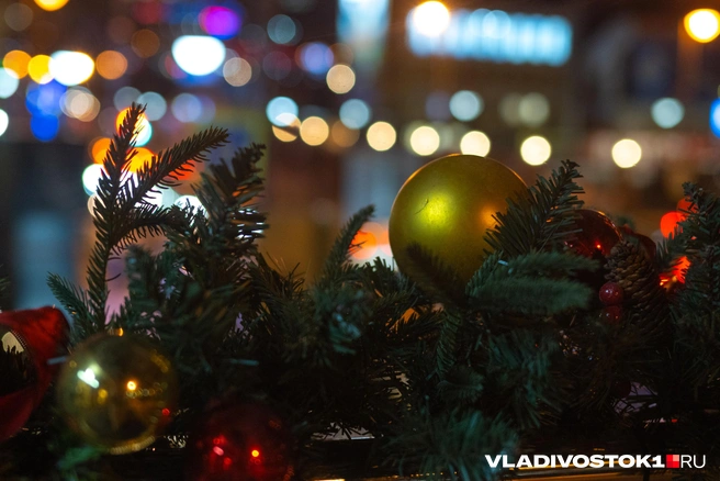 Источник: Елена Буйвол / VLADIVOSTOK1.RU