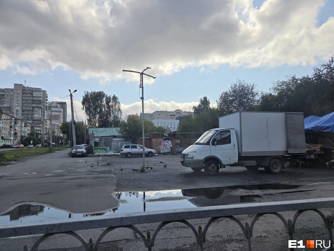 Источник: читатель E1.RU