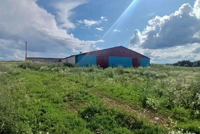Ферму с коровником и 2000 га продают за 10 тыс. рублей