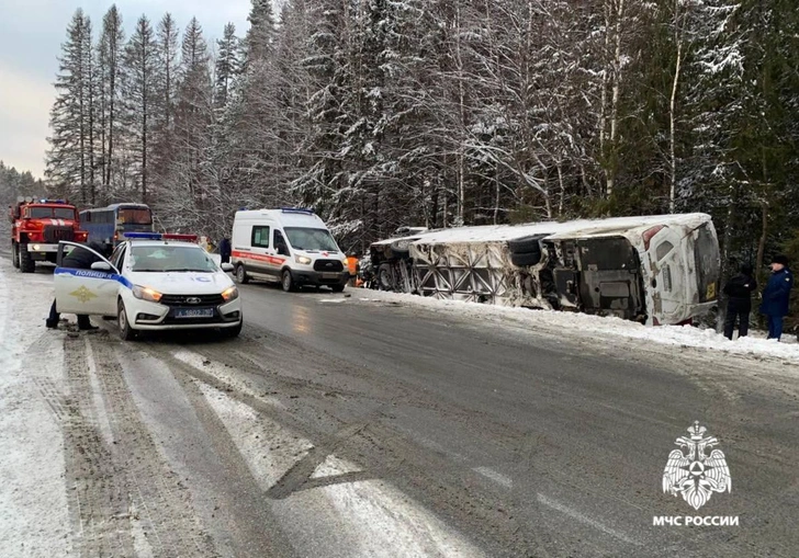 В Карелии перевернулся автобус с туристами: что известно