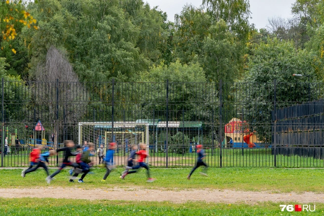 Помимо прогулок, в парке занимаются спортом | Источник: Кирилл Поверинов / 76.RU