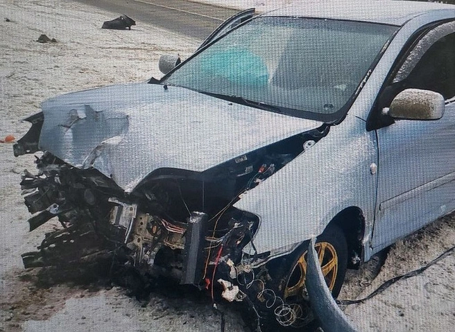 В Путятинском районе Toyota въехала в столб, пострадали три человека | ya62.ru