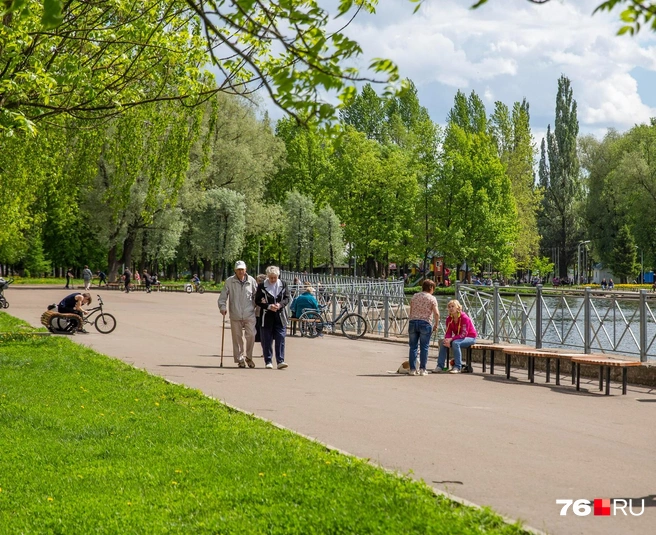 Сургут и Нижневартовск вошли в топ-10 непривлекательных городов для переезда | Источник: Александра Мамонтова / 76.RU