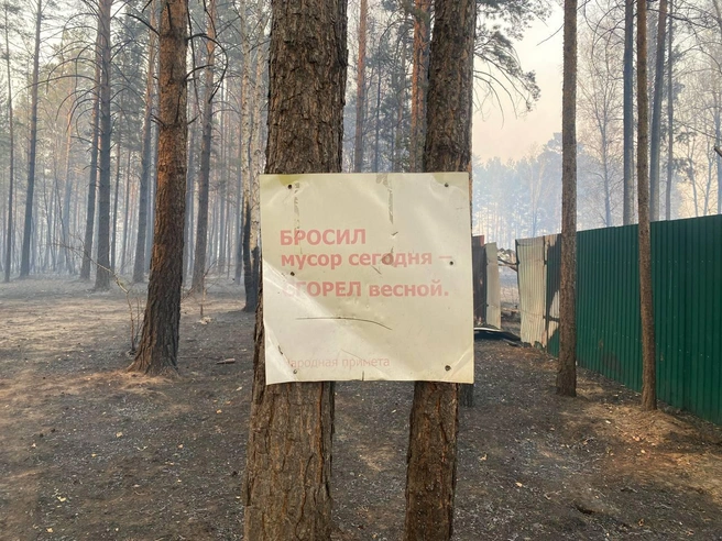 Печально точная фраза на табличке около дачных кооперативов, где бушевал огонь | Источник: Прокуратура Забайкальского края / Telegram