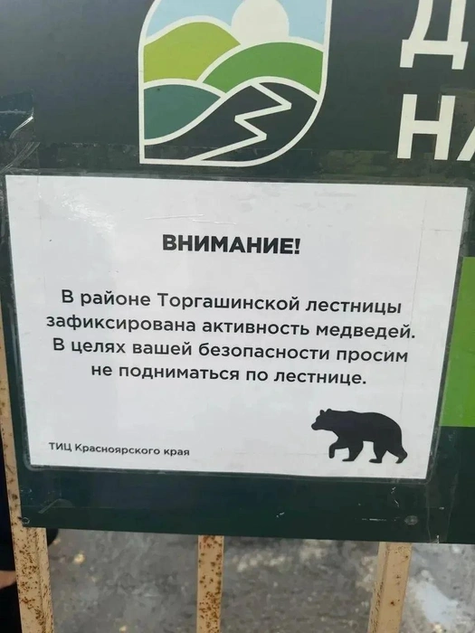 Самую длинную лестницу в России закрыли из-за медведей | Источник: Мэрия Красноярска