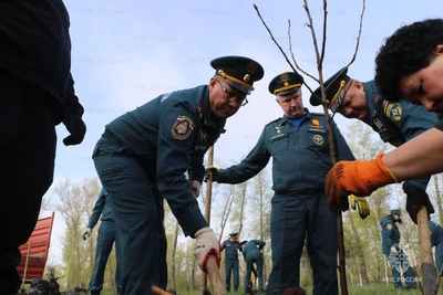 250 яблонь высадили в Абакане к 100-летию госпожнадзора