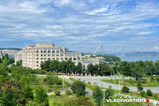 Пока проект есть только на бумаге | Источник: Елена Буйвол / VLADIVOSTOK1.RU