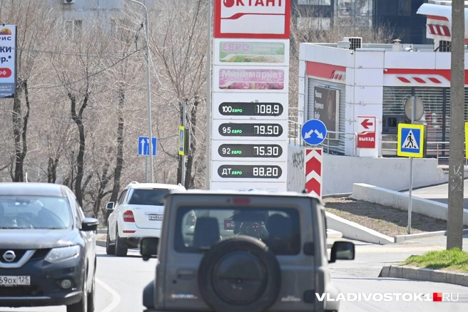 Источник: Елена Буйвол / VLADIVOSTOK1.RU
