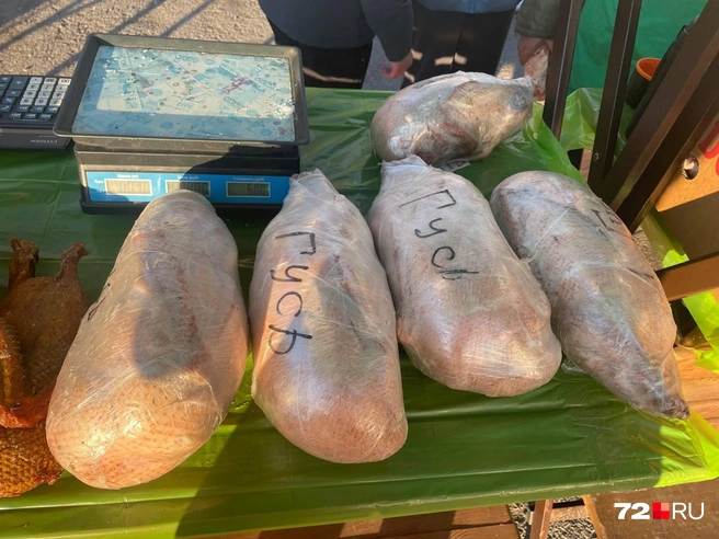 За килограмм гуся просят 650 рублей  | Источник: Радик Енчу / 72.RU