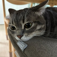 Аватарка astahova19891