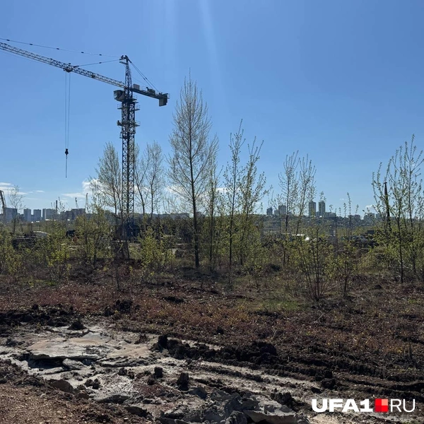 Тут клещи еще водятся | Источник: Назифа Нурмухаметова / UFA1.RU