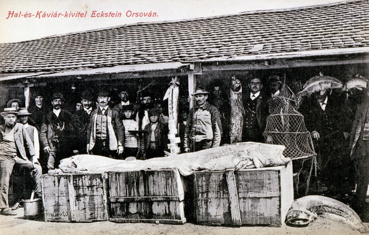 Торговцы икрой с рыбаками Каспийского моря. Открытка. Около 1905 года. | Источник: Collection IM/KHARBINE-TAPABOR via Legion Media 