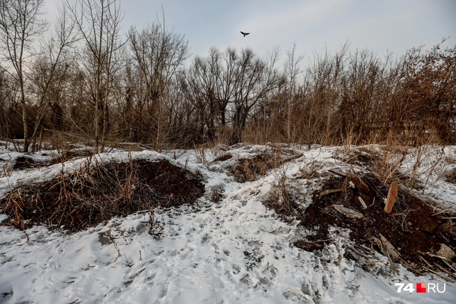 На месте городской спортплощадки сейчас — дикое поле | Источник: Наталья Лапцевич