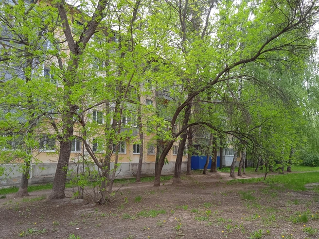 В Ульяновске частично обесточат два района: когда дадут свет | Источник: Дмитрий Сильнов / 173. RU