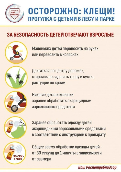 Источник: Роспотребнадзор по Приморскому краю