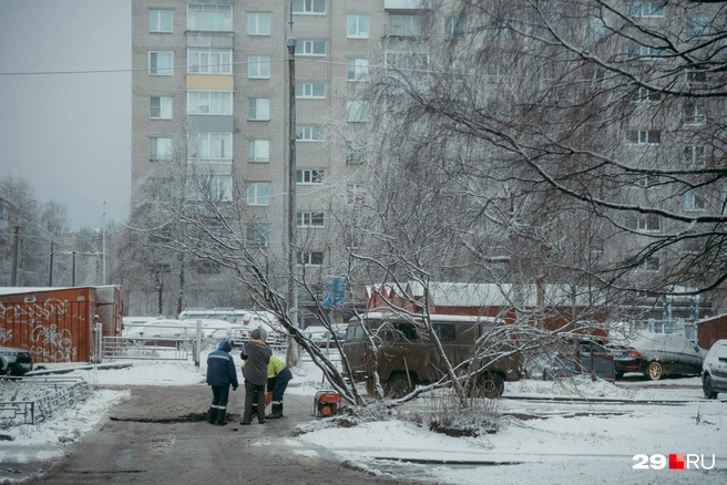 Источник: Иван Митюшёв / 29.RU 