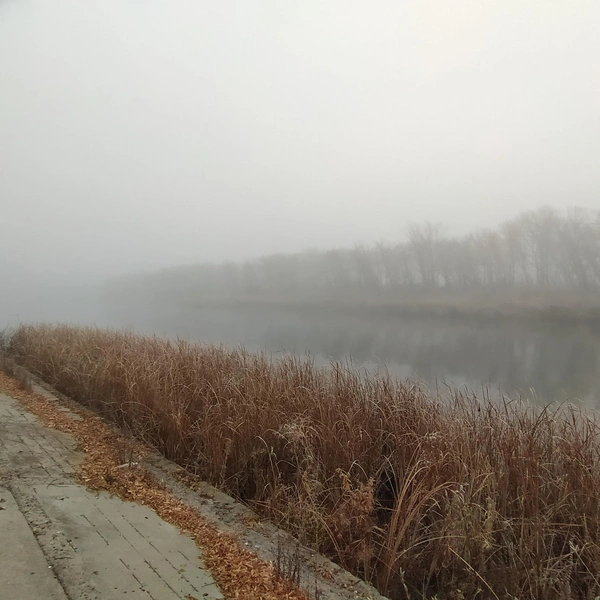 Курганцы делятся фотографиями тумана. Этот снят с набережной в Западном районе города | Источник: Николай Бурлаков