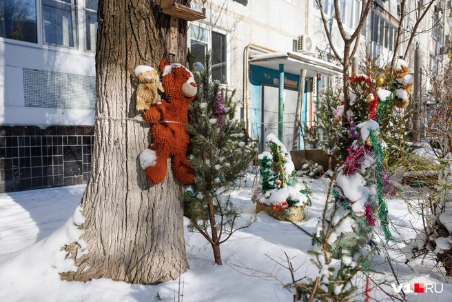 Жертва замерзших волгоградцев духам зимы, молящих природу сжалиться | Источник: Алексей Волхонский / V1.RU