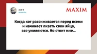 Лучшие шутки недели и губительное очко
