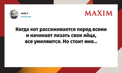 Лучшие шутки недели и губительное очко