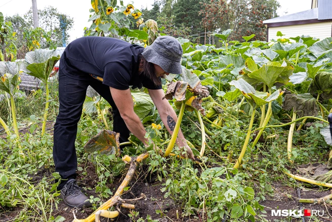 Источник: Артем Устюжанин / MSK1.RU