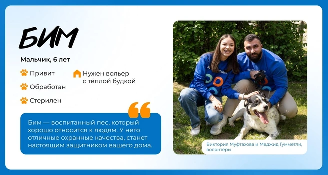 Источник: Василиса Молахова, Евгений Шаров