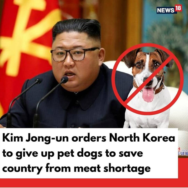 Жителям Северной Кореи запретили заводить дома собак
