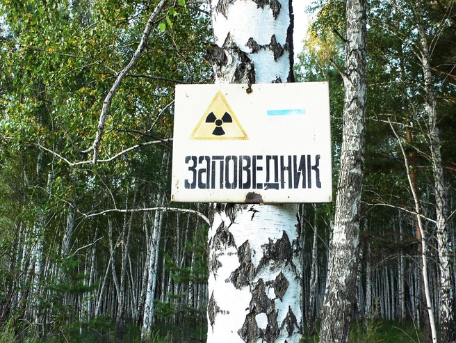 Территория заповедника по-прежнему закрыта для посещения | Источник: Алла Слаповская, Алиса Никулина