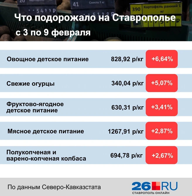 Статистика цен на продукты | Источник: Дарья Гранкина / 26.RU